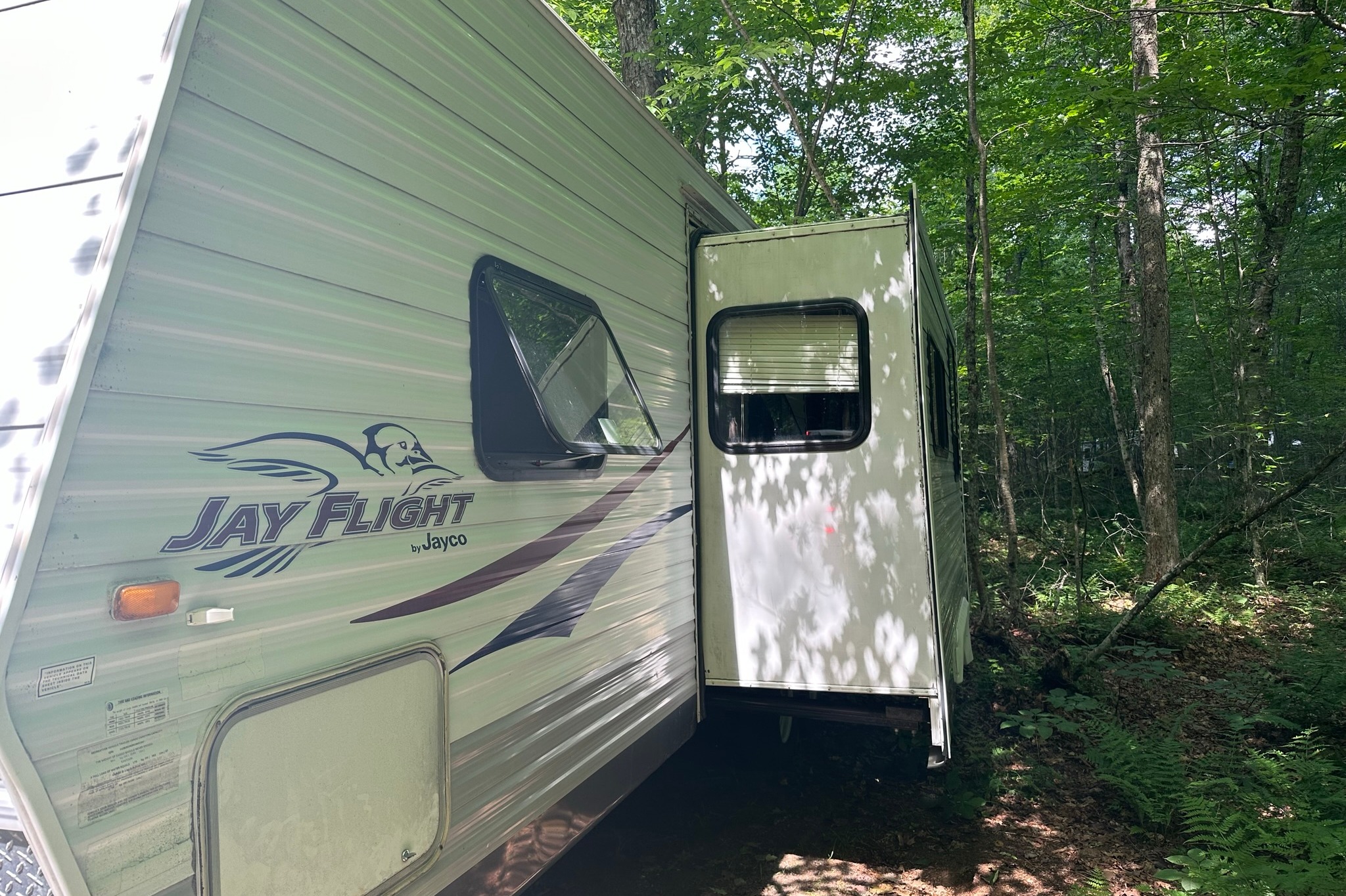 Family & Festival Fun, Campfire and Marshmallow Memories