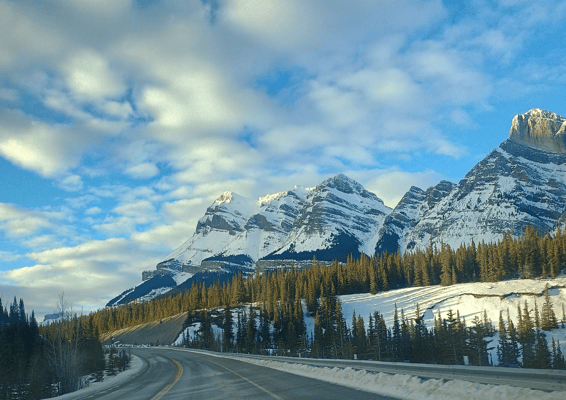 Honda Campervan (8 seats/2 sleeps)Park Pass+Airport pickup (US/Canada)