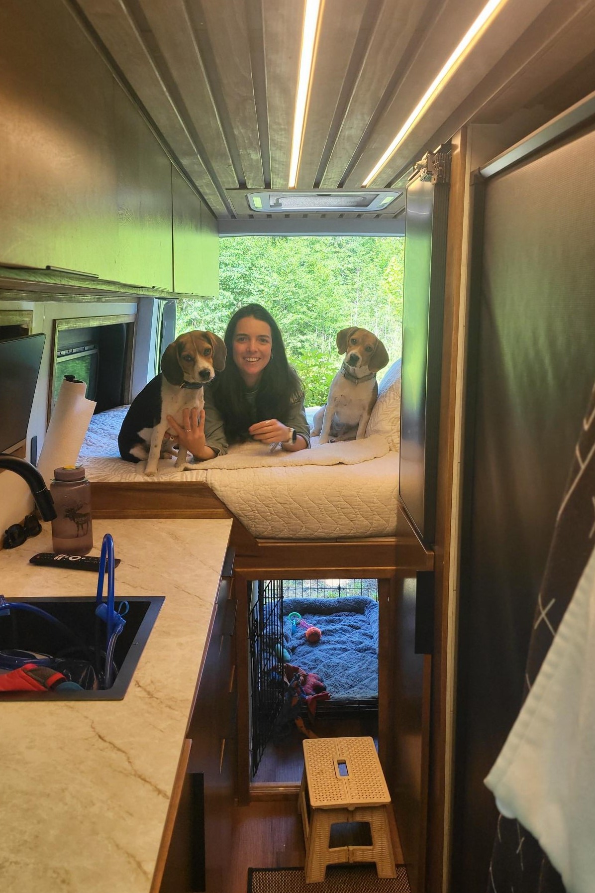Project Beagle