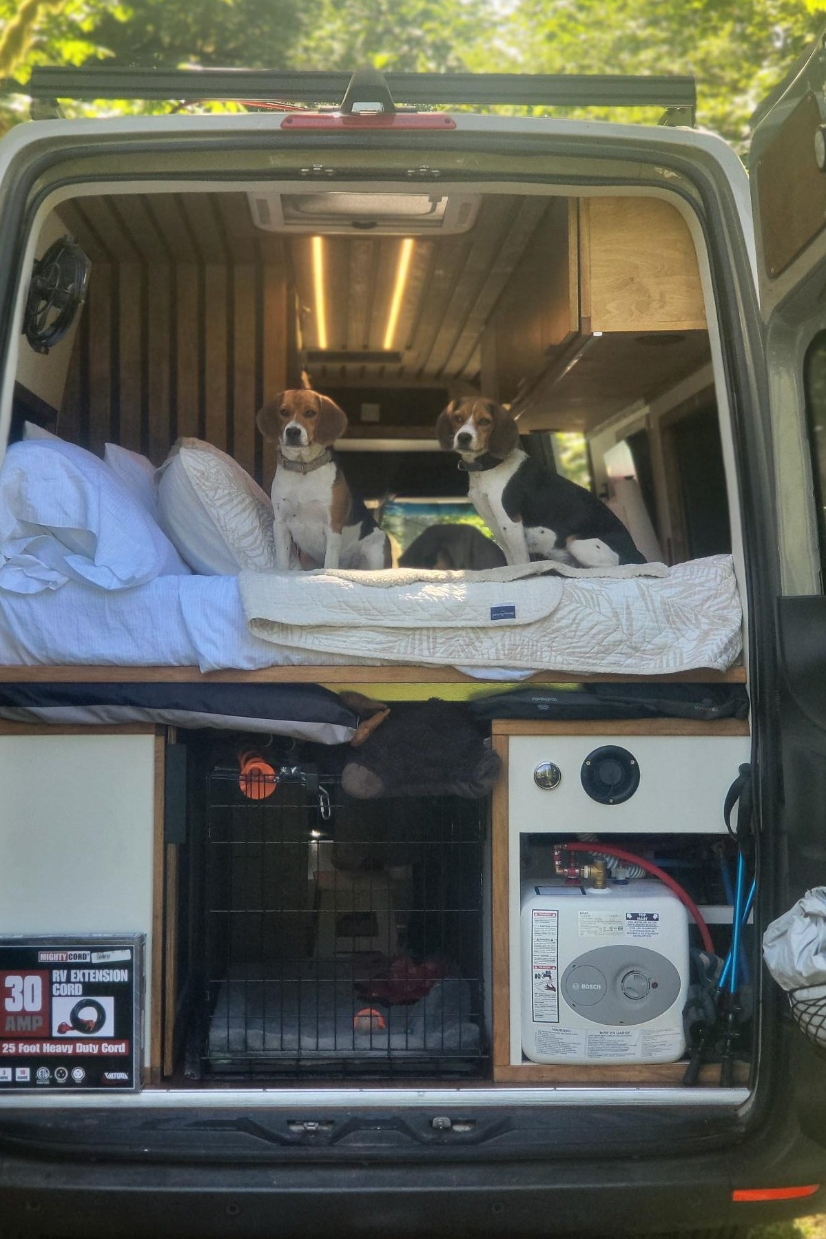 Project Beagle