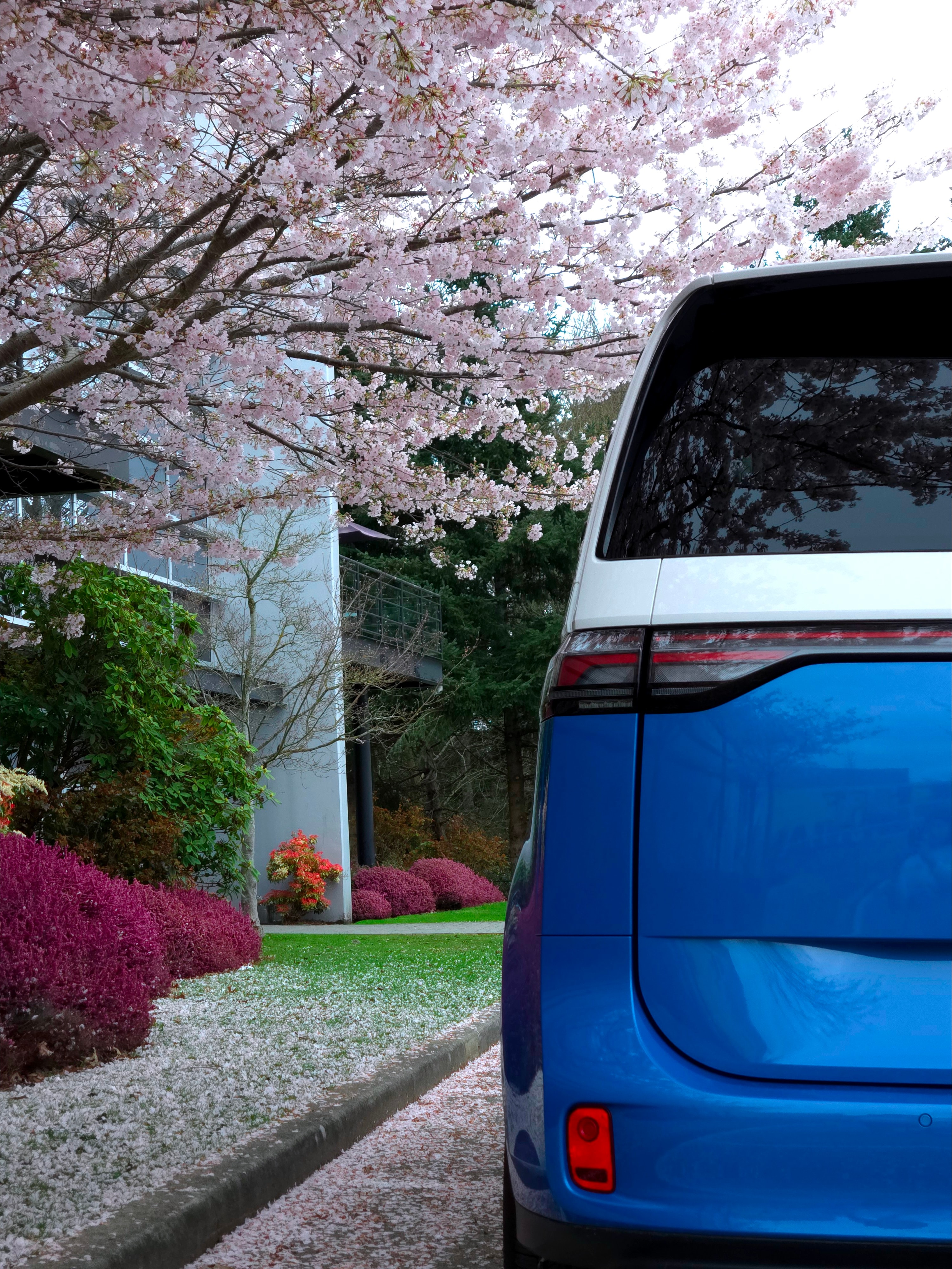 Iconic, Zero Emission Camping with an Volkswagen ID. BUZZ