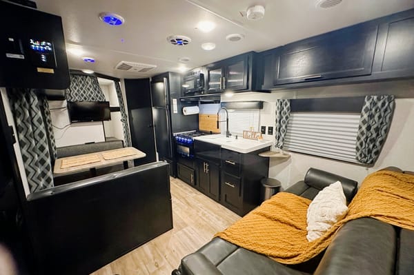 HOME AWAY FROM HOME! ANGEL’S GRAY WOLF