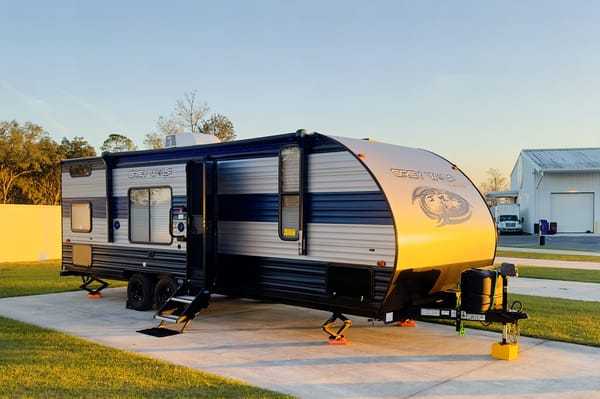 HOME AWAY FROM HOME! ANGEL’S GRAY WOLF