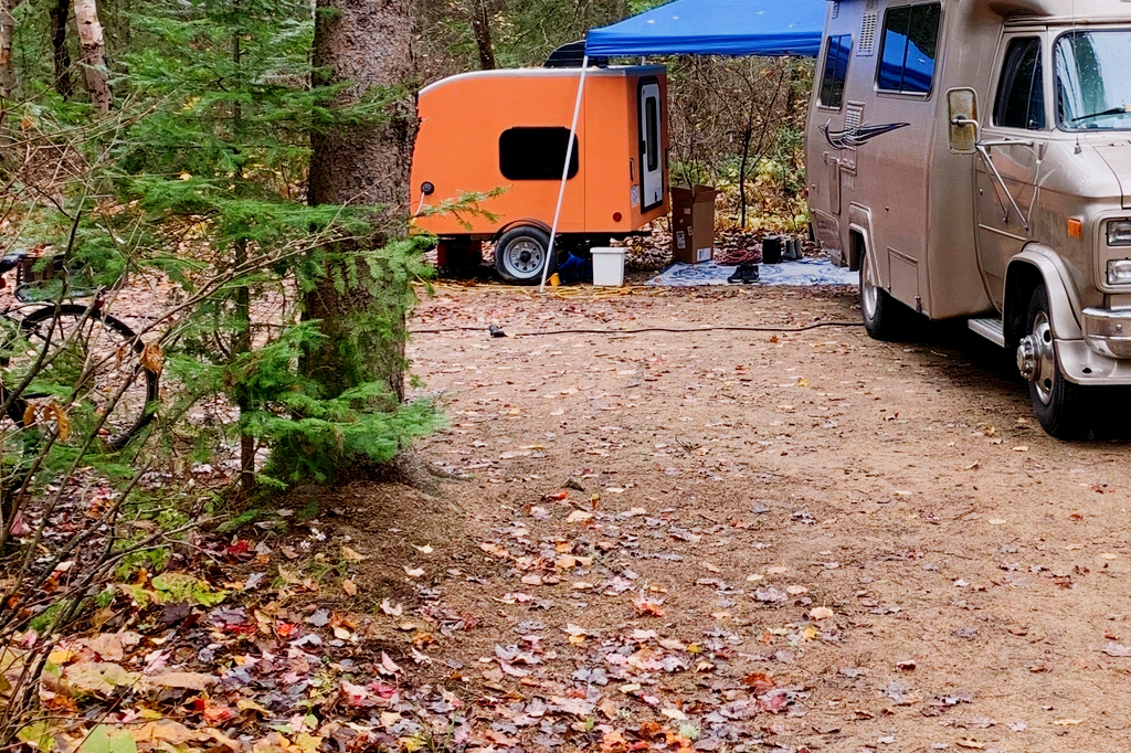 Little Orange