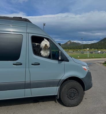 2022 Mercedes Benz Sprinter 170WB - Juniper