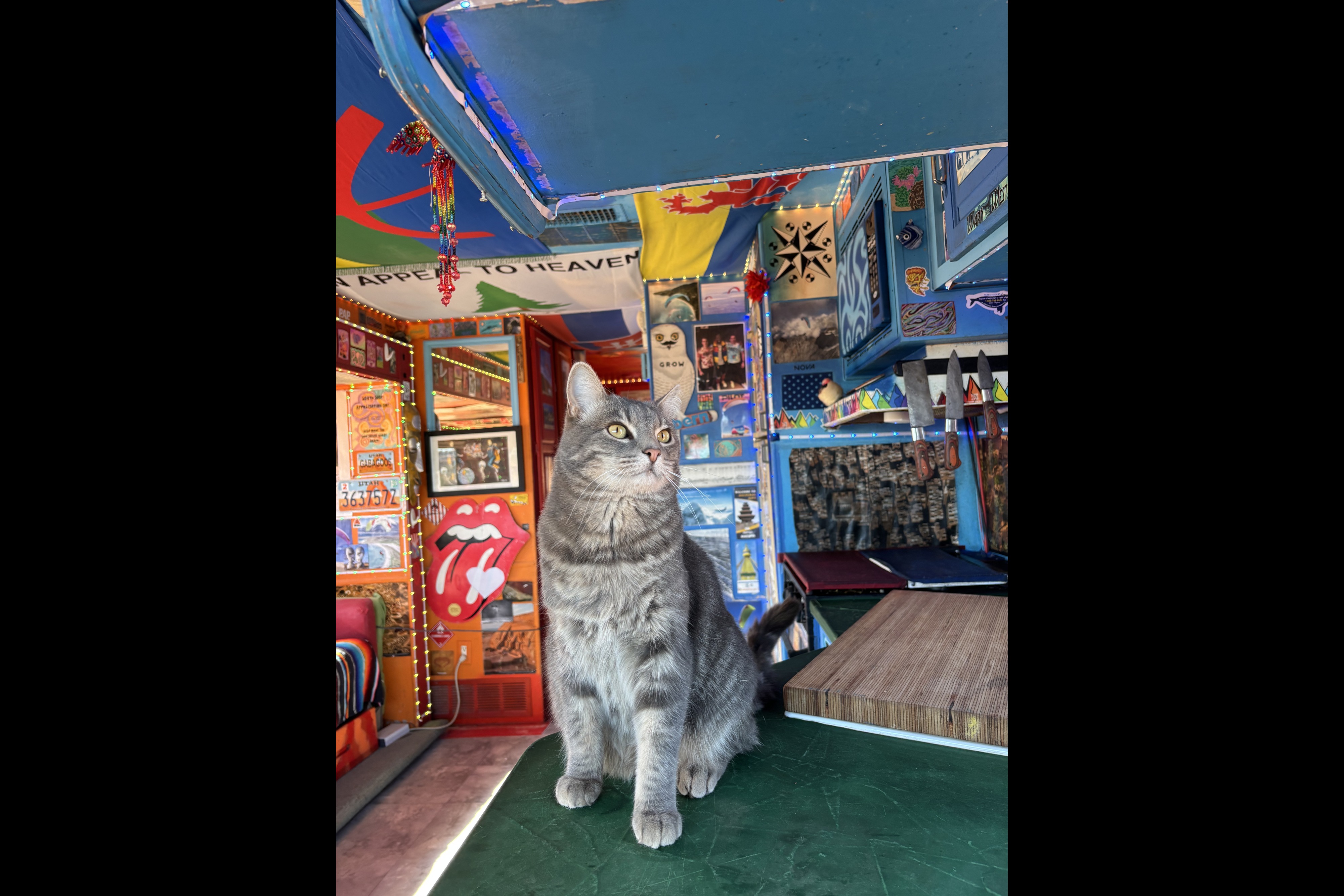The TumbleWeed Burning Man Trailer Rental 2026