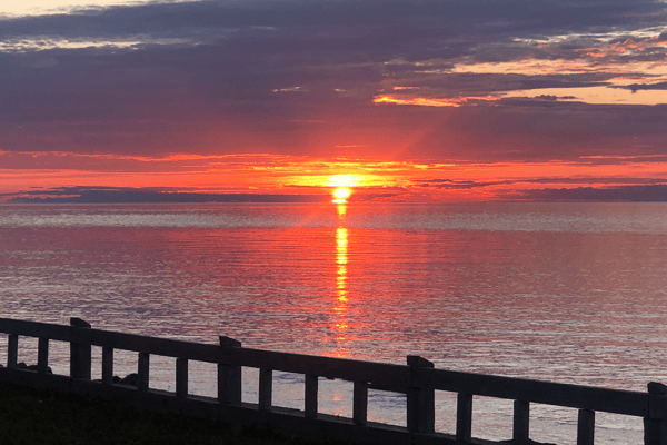 Vanille