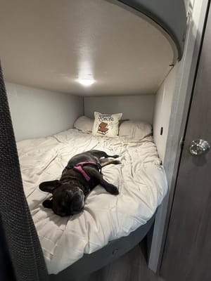 2025 Coachmen, Bunkhouse, Sleeps 8-10, $500 Deposit, Bed Linens included