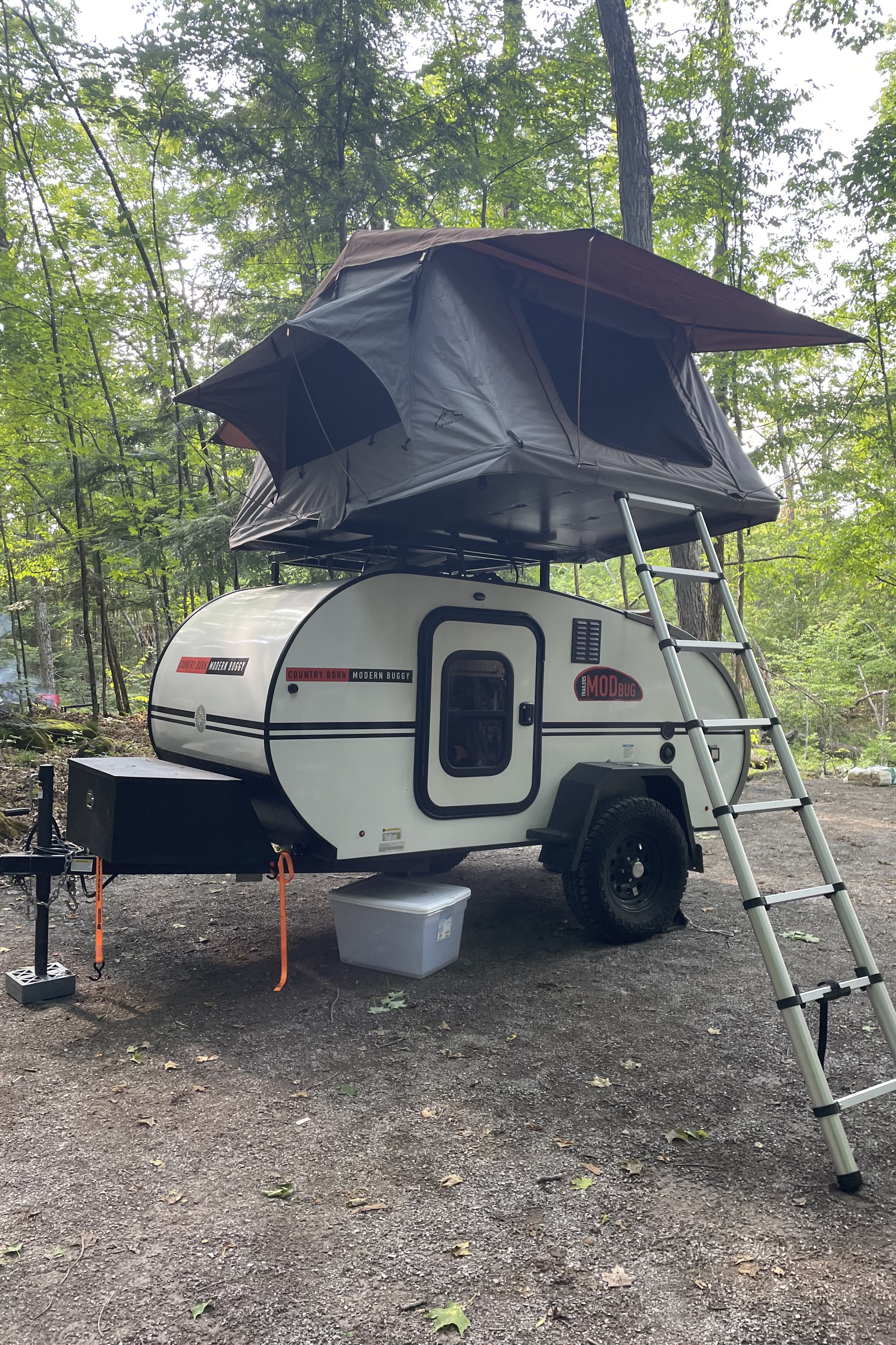 Alicia's Modern Buggy RK10 Micro Trailer