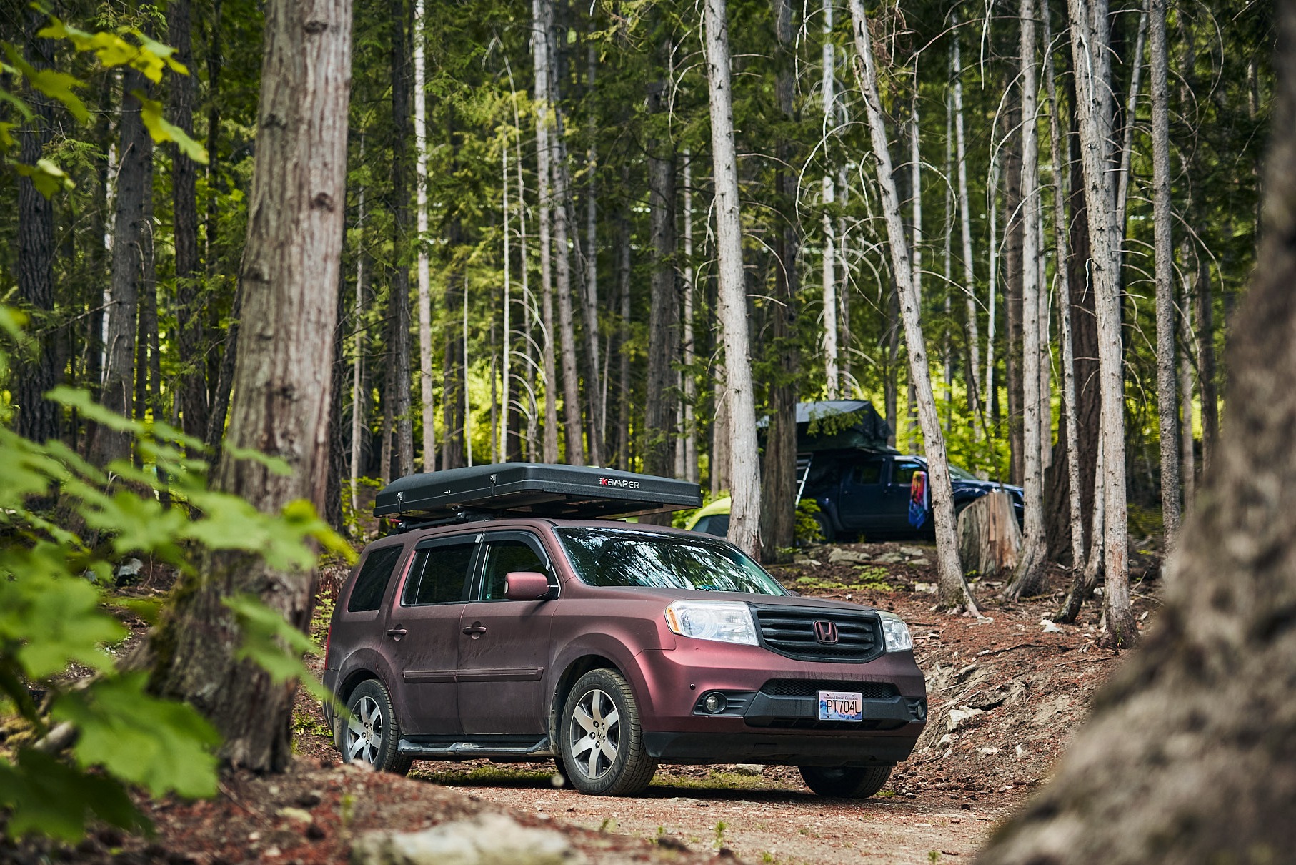 L&P Camper Pilot