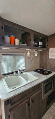 Ferguson's Coachmen Apex Nano Hybird