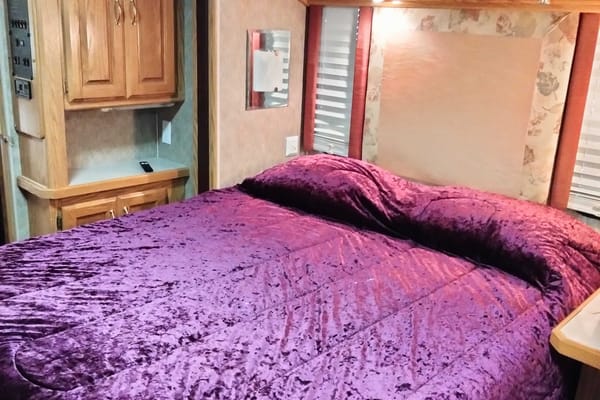Steve's Holiday Rambler Admiral SE Class A