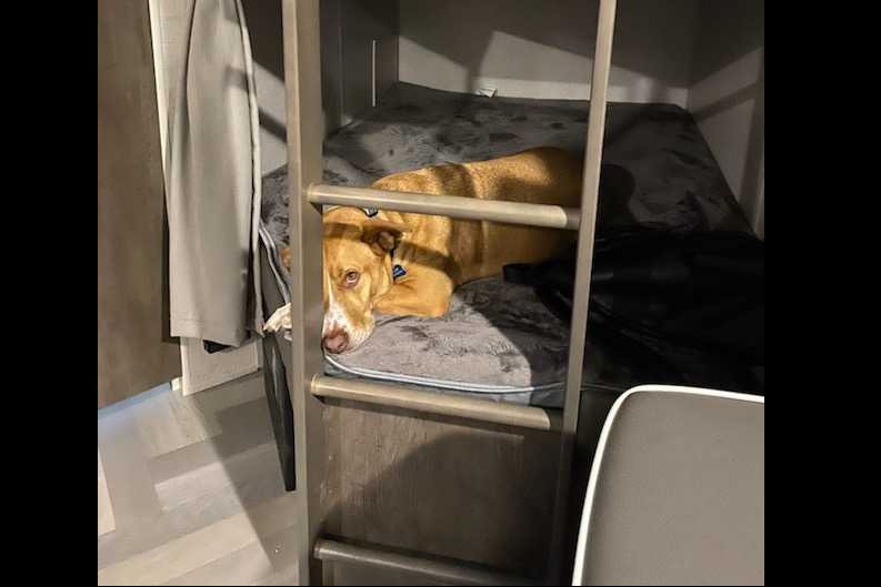 Happy Days / Starry Nights! Pet friendly! Sleeps ~8!