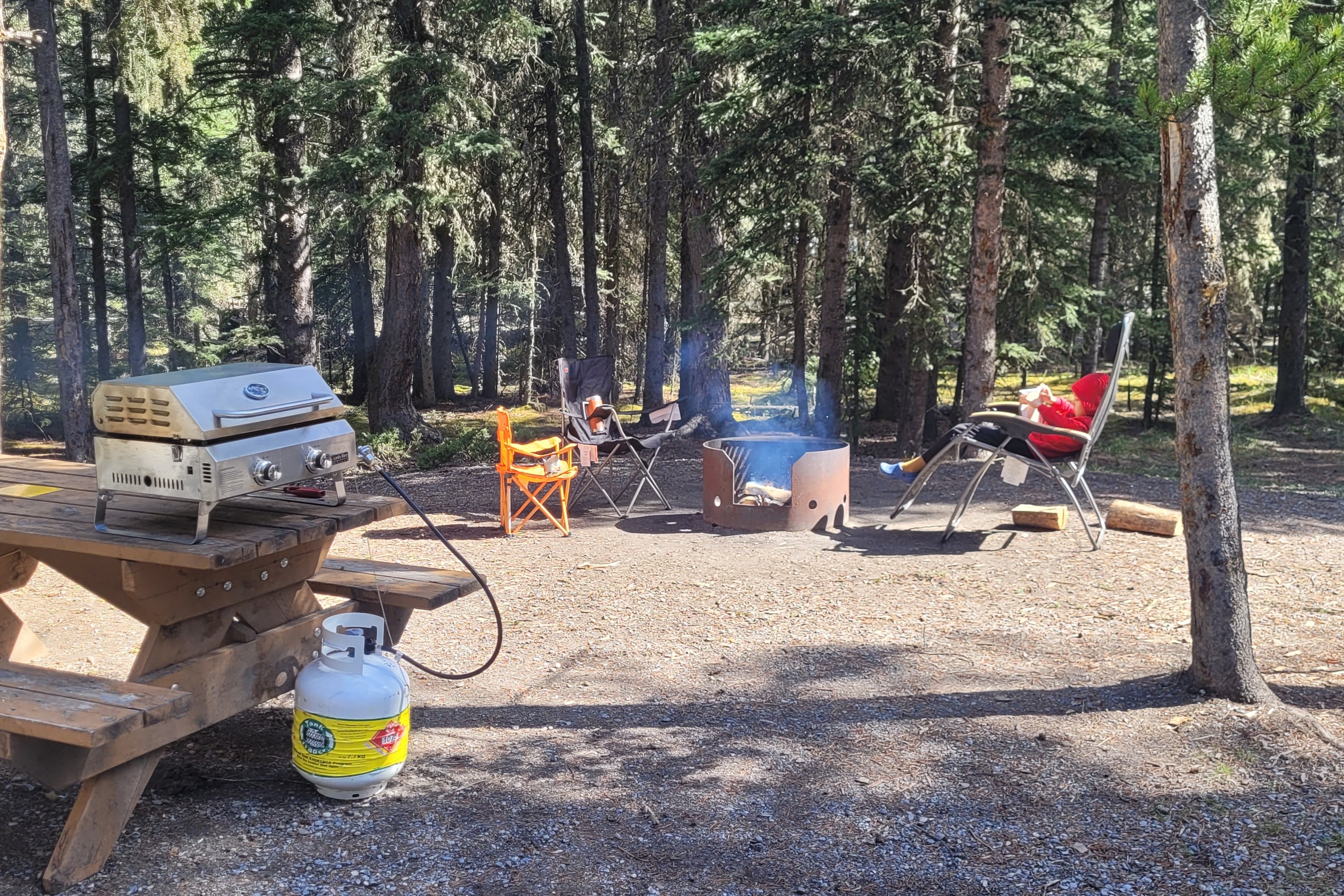 Start your boondocking adventure with the Wild West Wolf Pup!