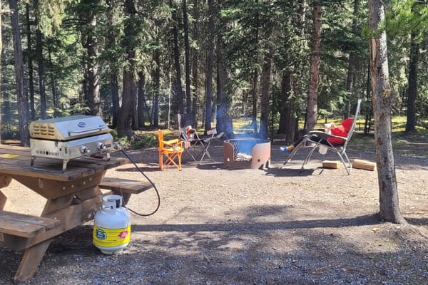 Start your boondocking adventure with the Wild West Wolf Pup!