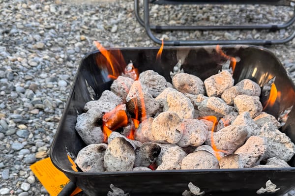 Start your boondocking adventure with the Wild West Wolf Pup!