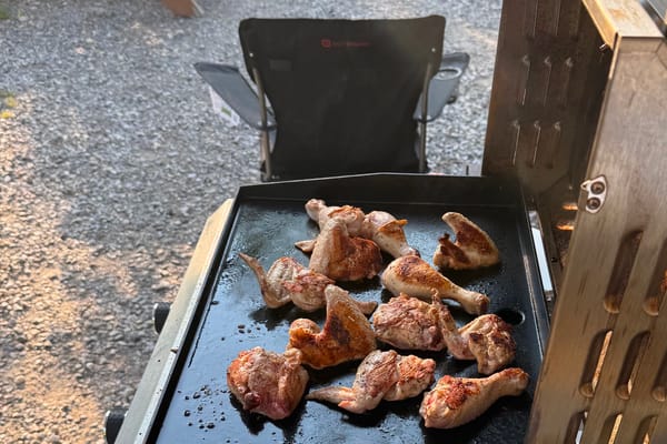 Start your boondocking adventure with the Wild West Wolf Pup!
