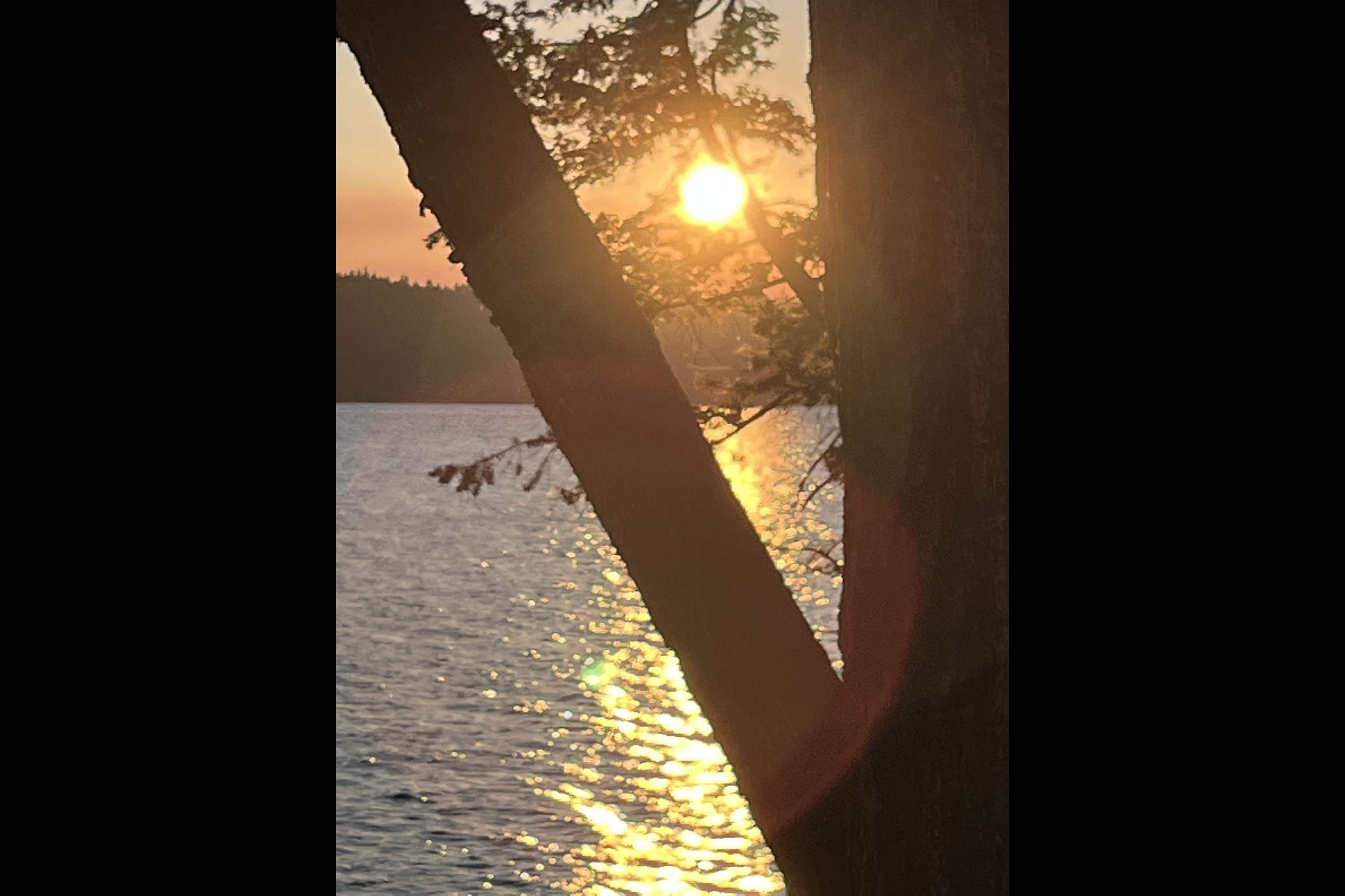 Waterfront RV Cottage WITH DOCK on Gorgeous Lac La Hache