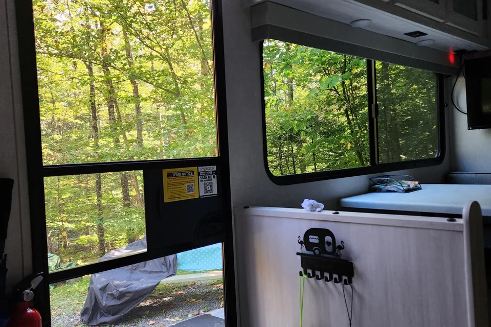 Lou - Forest River R-Pod Roulotte