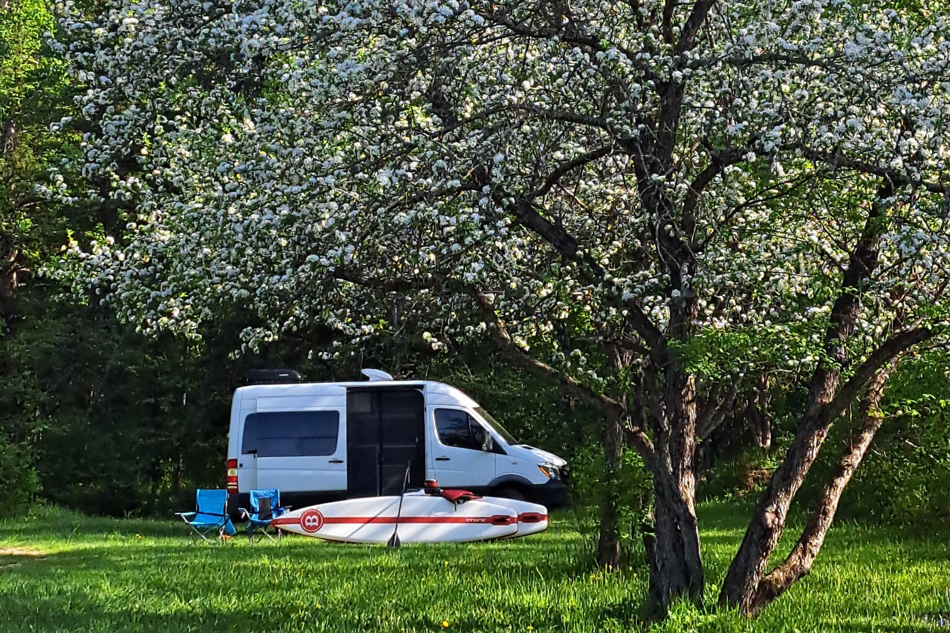Patte de Grizzly- Mercedes Sprinter 2017 Classe B
