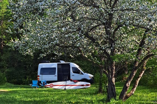 Patte de Grizzly- Mercedes Sprinter 2017 Classe B