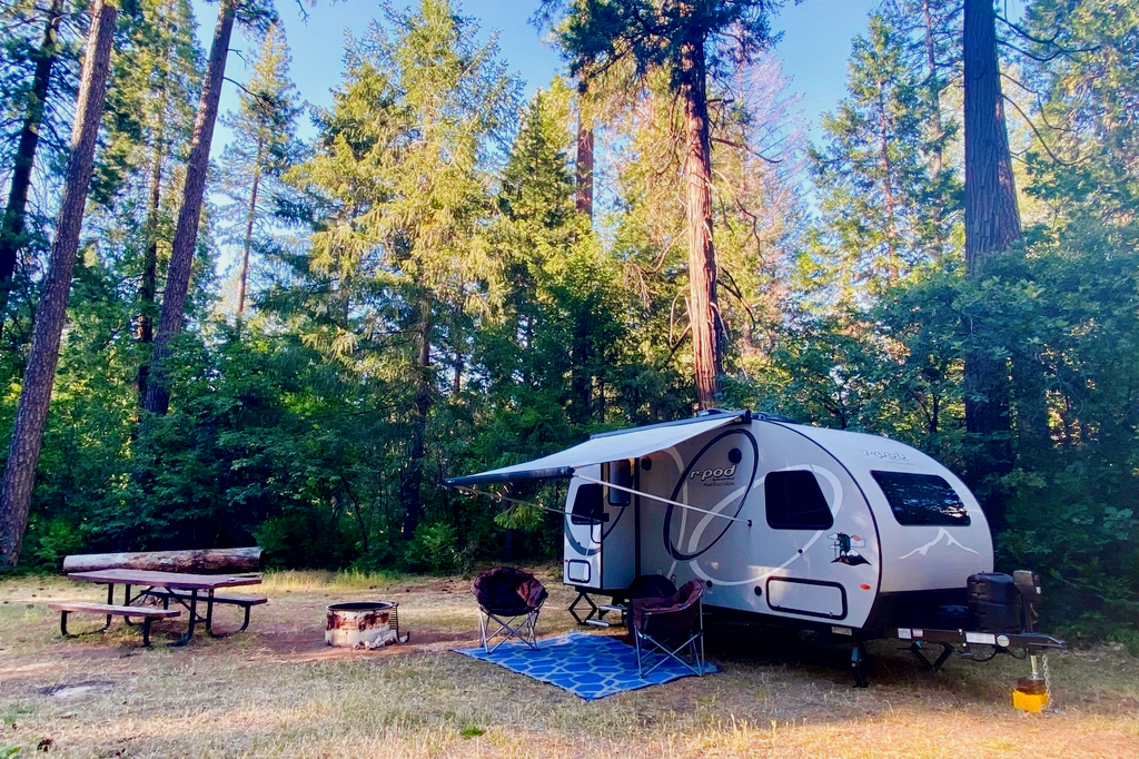 “Pork Chop II” Kid & Pet Friendly 2021 Forest River R-Pod Travel Trailer