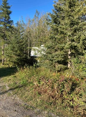 Camp Sisu