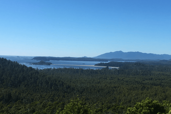 Tofino/Ukee Living - Pegasus