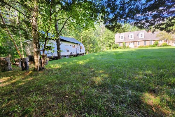 In The Forest Accommodation