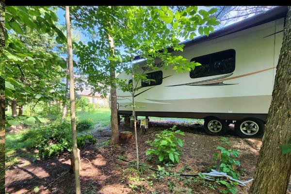 In The Forest Accommodation