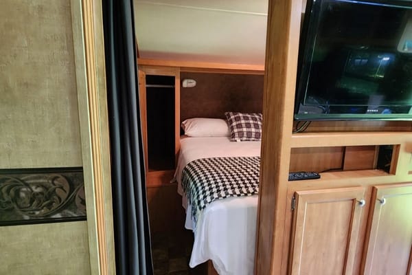 In The Forest Accommodation