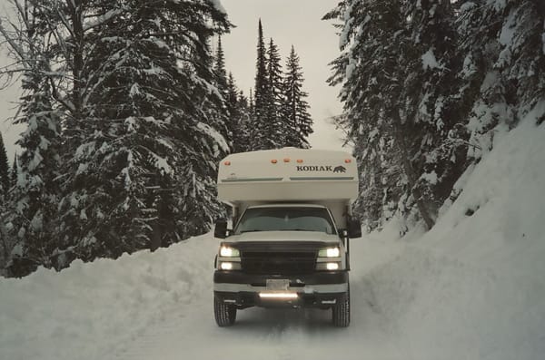 Koko the Vintage Camper