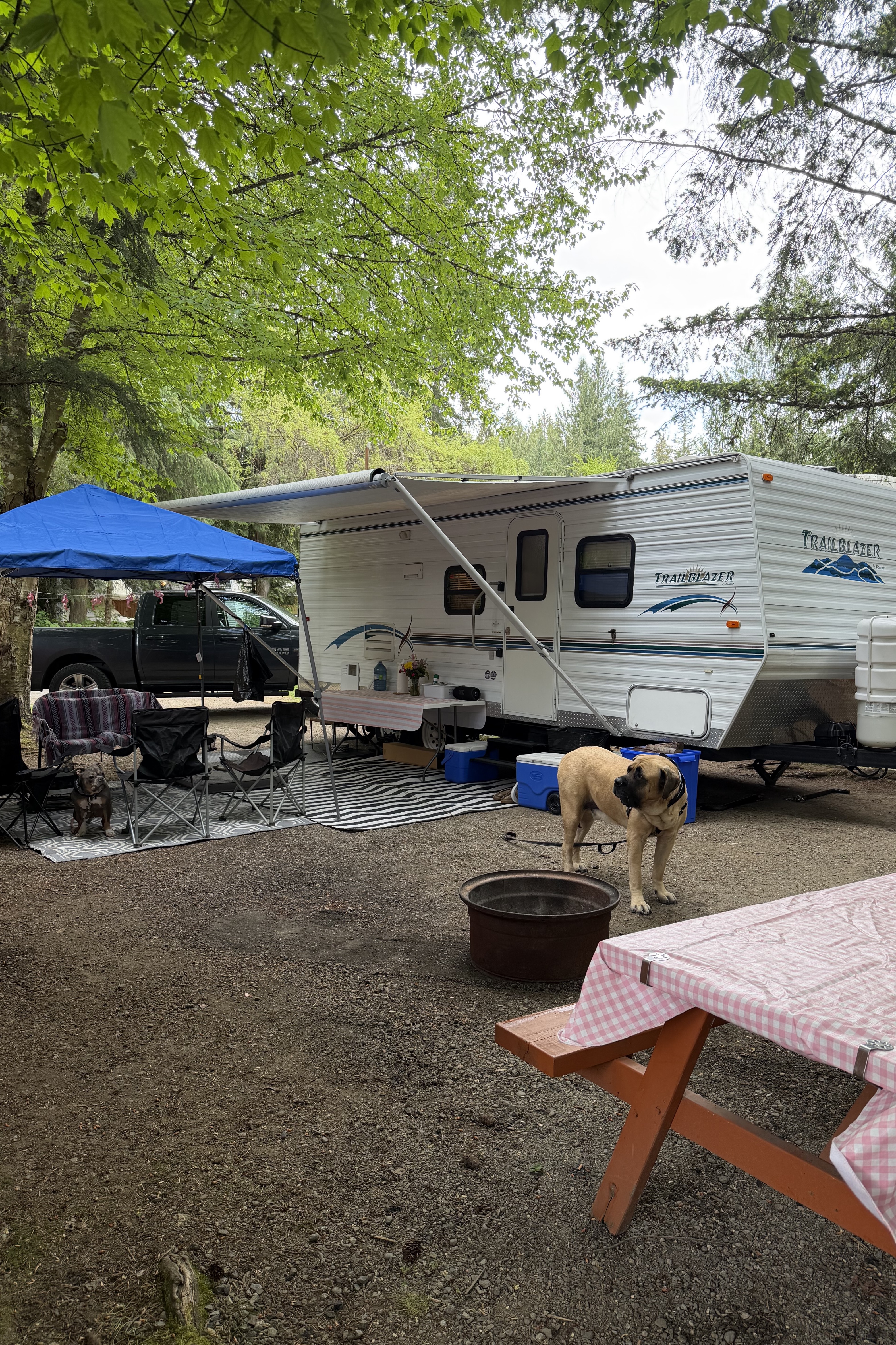 Chelsea's Komfort Trail Blazer Travel Trailer