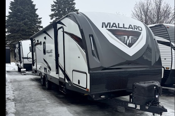 THE MALLARD