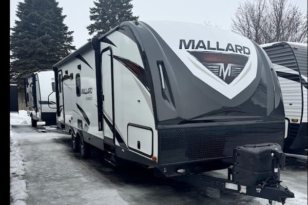 THE MALLARD
