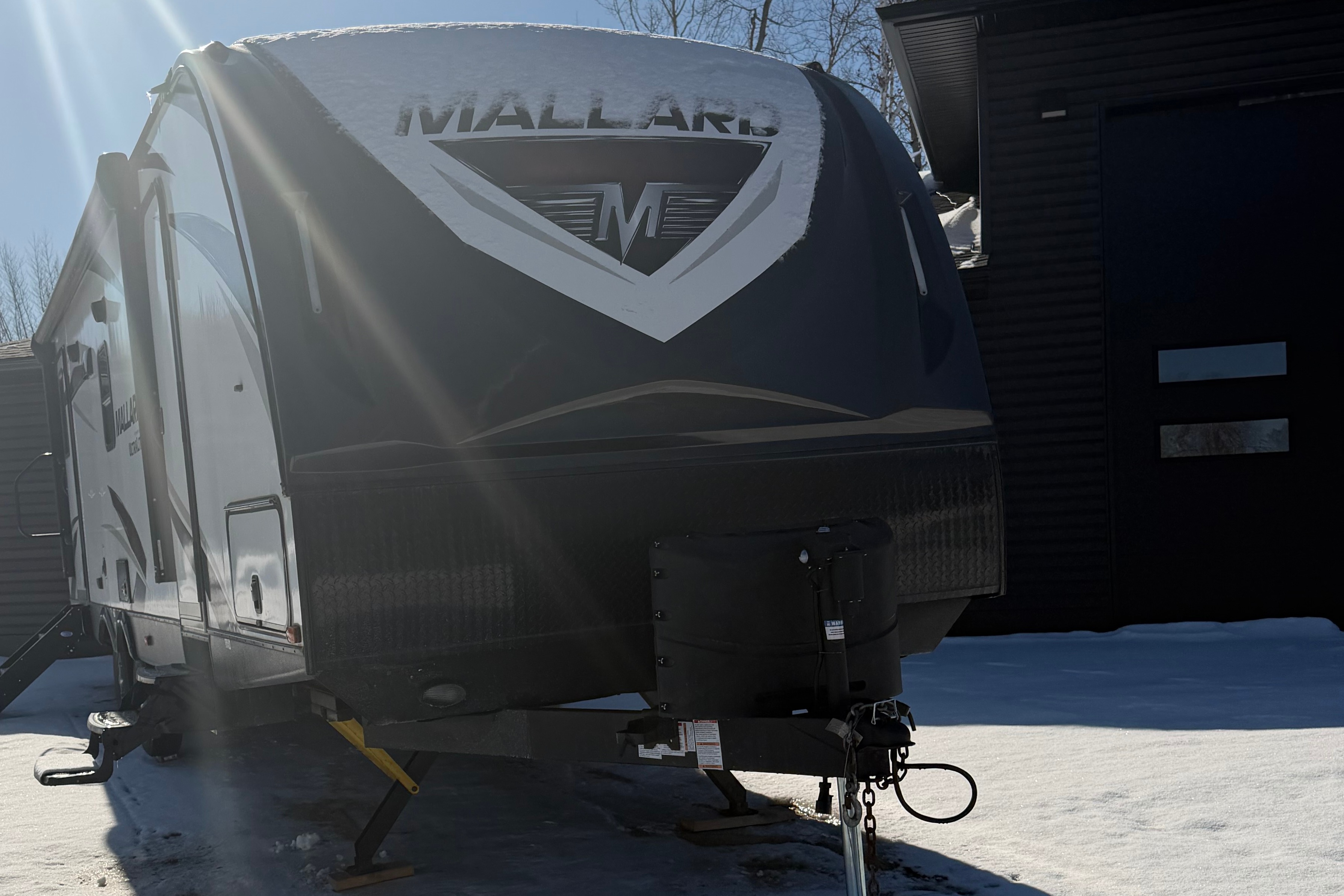 THE MALLARD