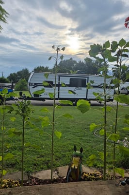 2025 Bunkhouse Sleeps 7 | Delivery Available