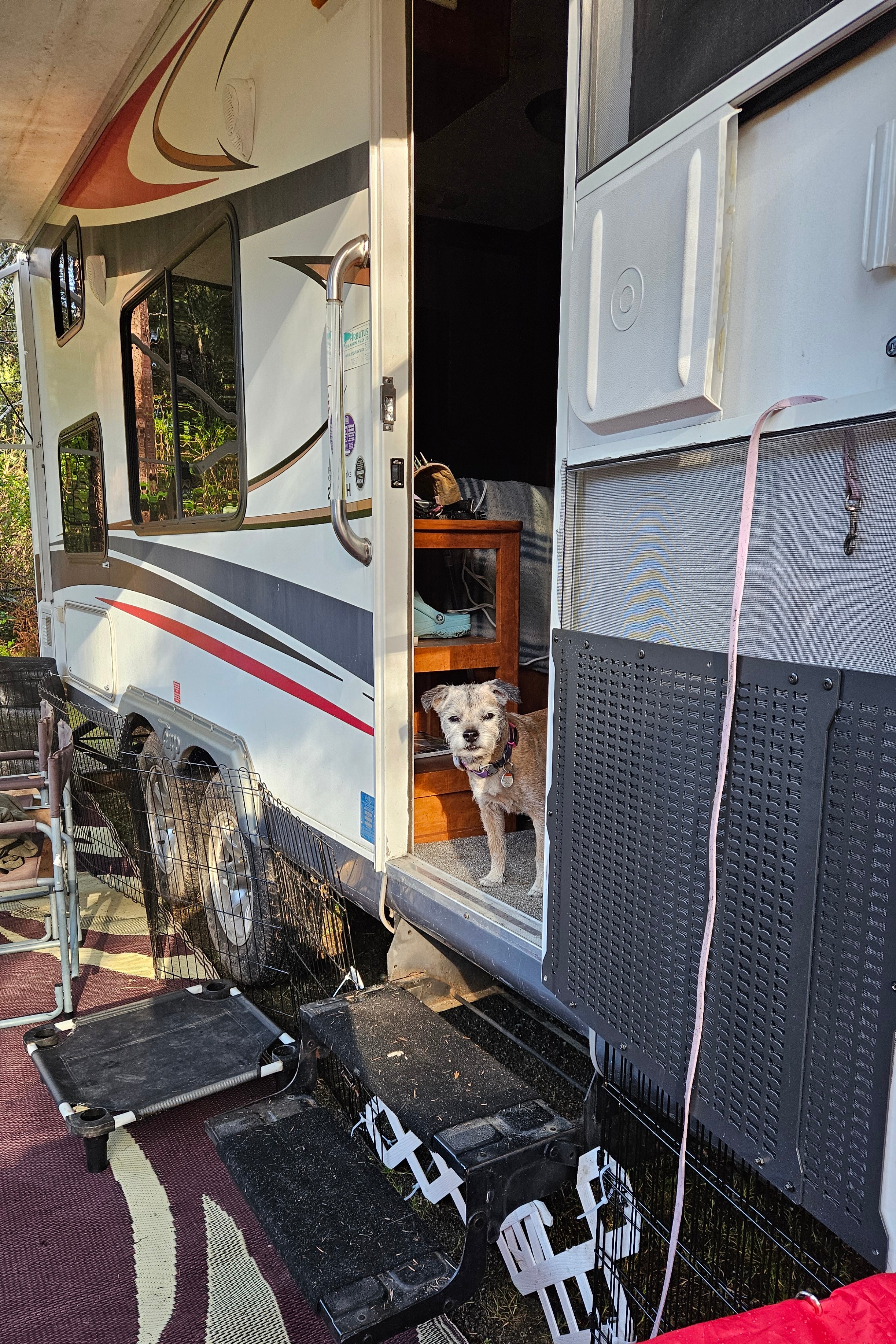 Vancouver Island Dog-Friendly 27ft Tango | Perfect for Camping & Dog Shows