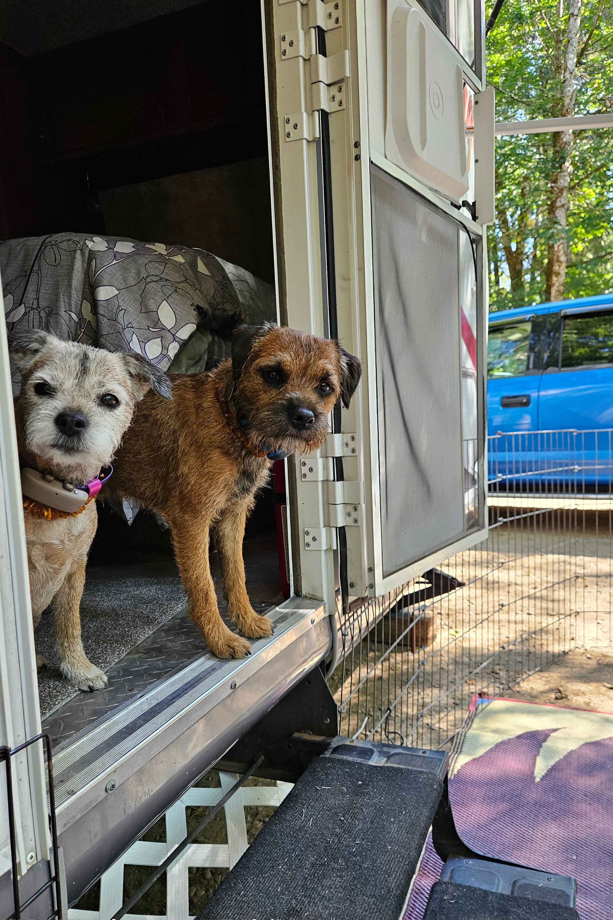 Vancouver Island Dog-Friendly 27ft Tango | Perfect for Camping & Dog Shows