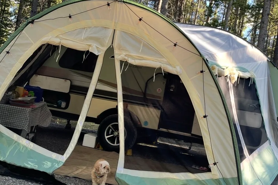 Alex's Forest River Rpod 178 Travel Trailer