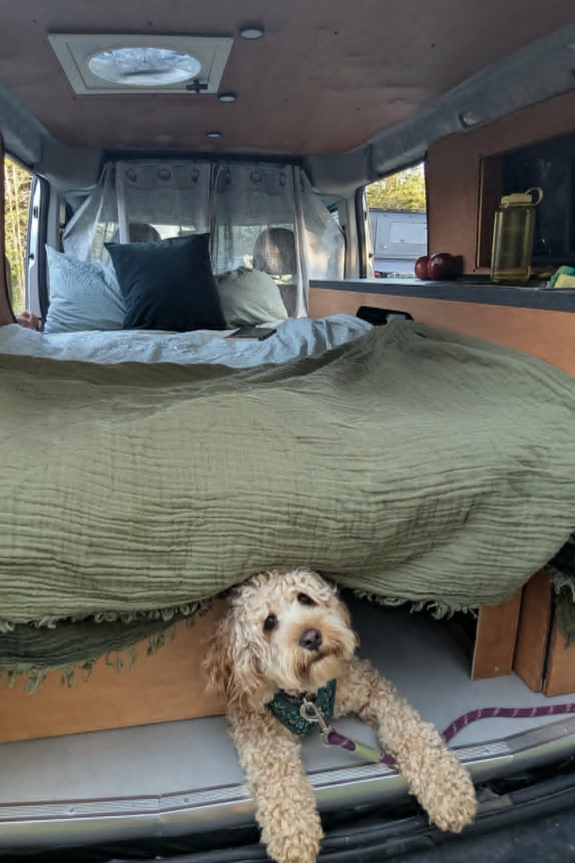 Sherbie — Mini-van aménagé | Va partout | 8L/100km | Batterie 4 jours