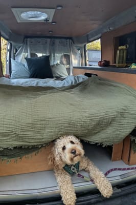 Sherbie — Mini-van aménagé | Va partout | 8L/100km | Batterie 4 jours