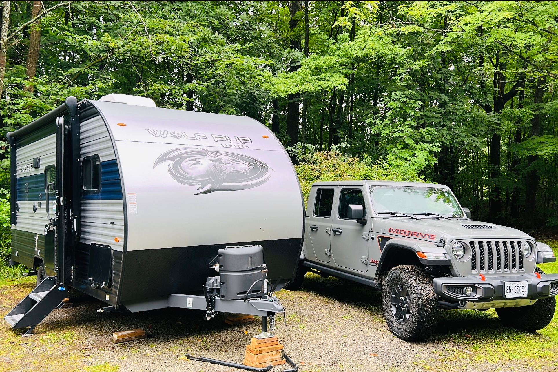 CRisnah's Forest River cherokee wolf pup Travel Trailer