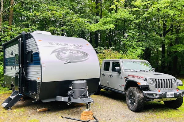 CRisnah's Forest River cherokee wolf pup Travel Trailer