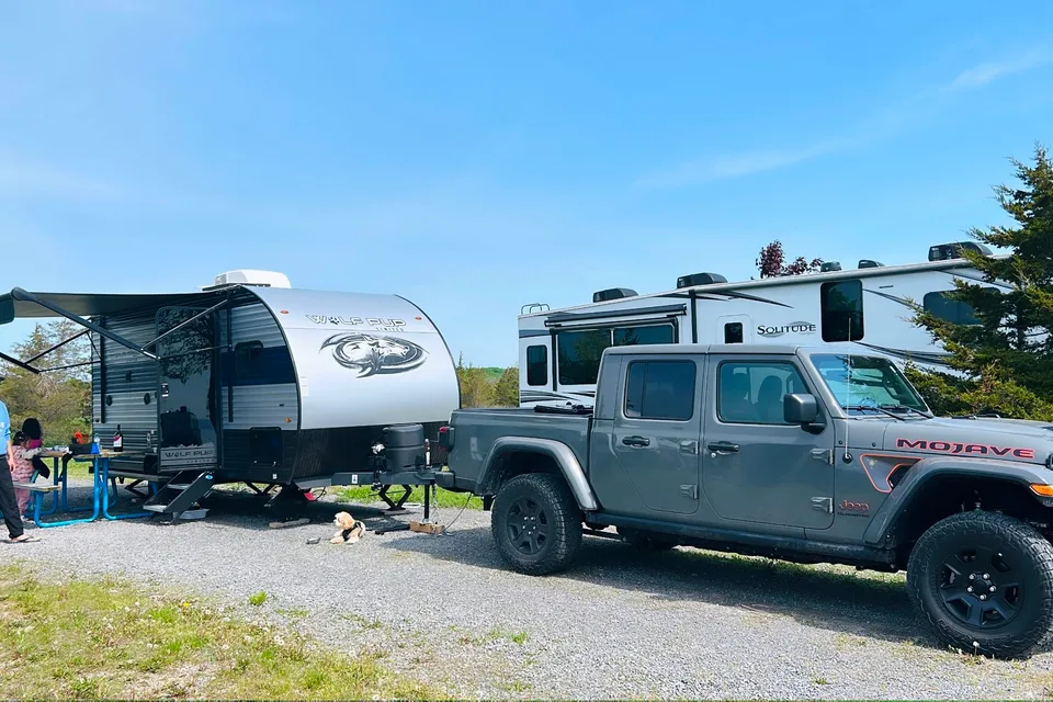 CRisnah's Forest River cherokee wolf pup Travel Trailer
