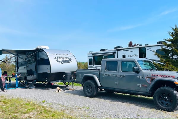 CRisnah's Forest River cherokee wolf pup Travel Trailer