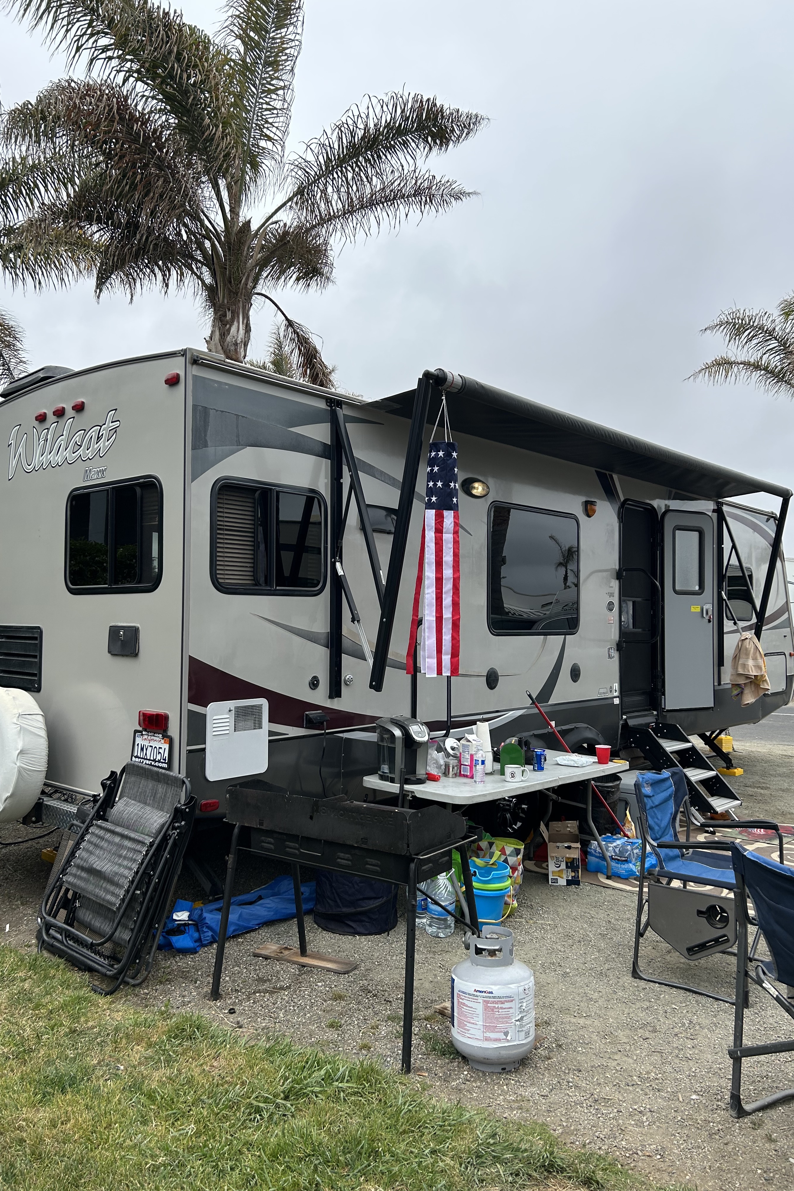 The Wildcat Getaway