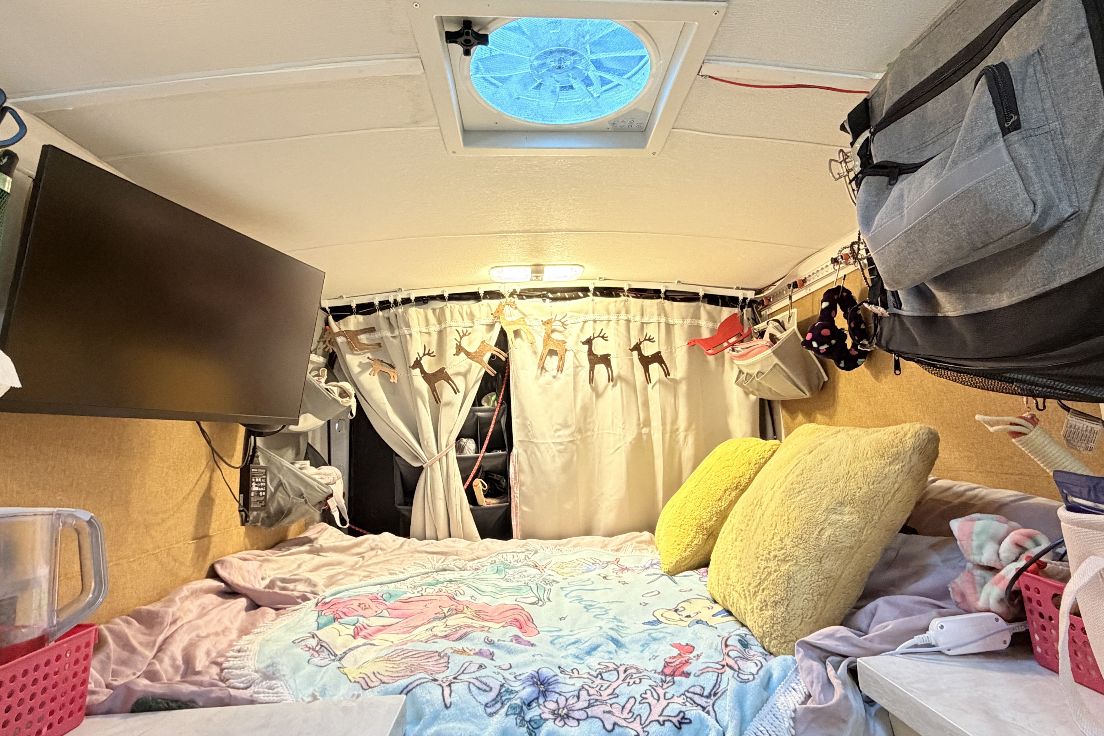 Frank's Ford Transit 250 Campervan