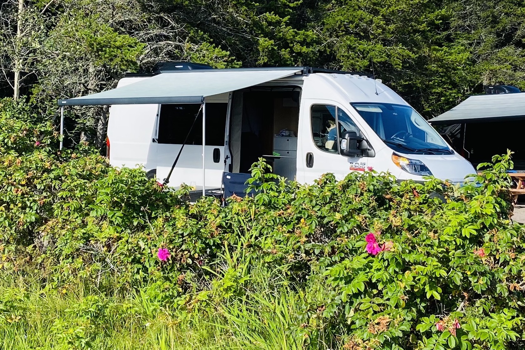 Manon Dodge 3500 Classe B