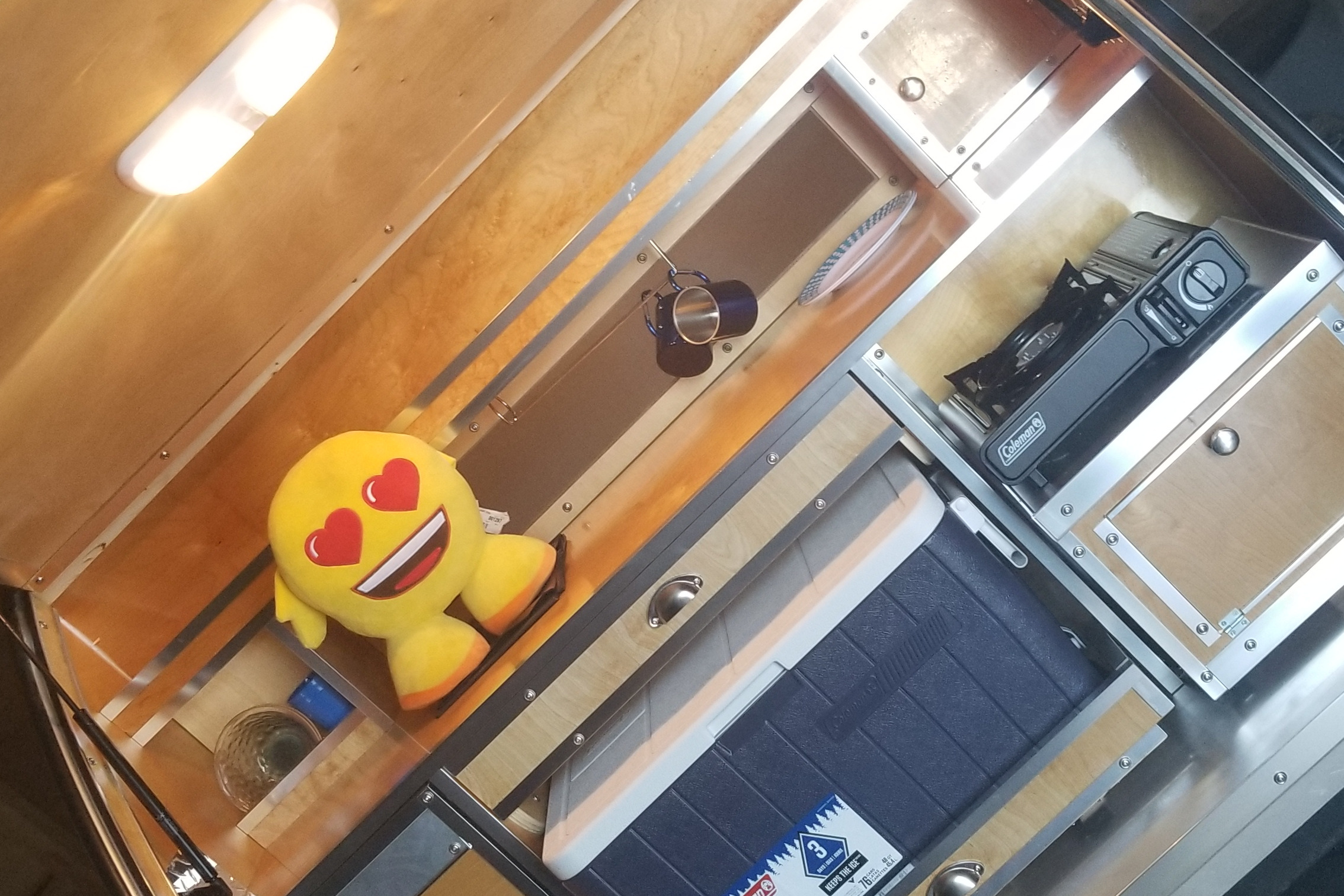 Diamond in the rough Travel Trailer